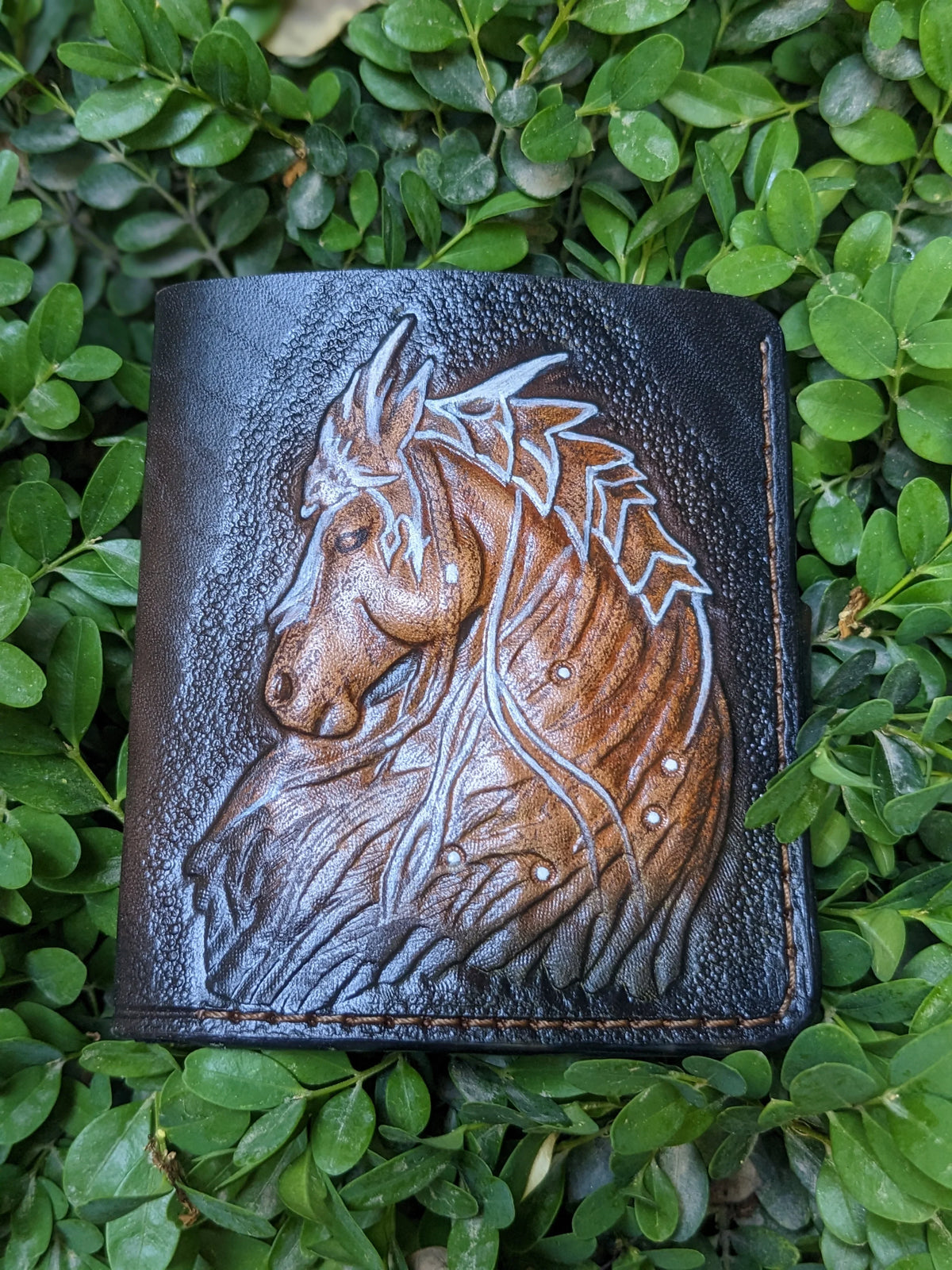 Women's Bifold Wallets - Theodoros