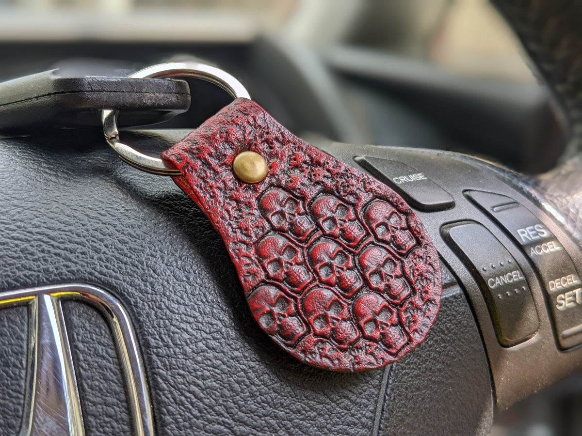 S1, Bones, Skeleton, Skull