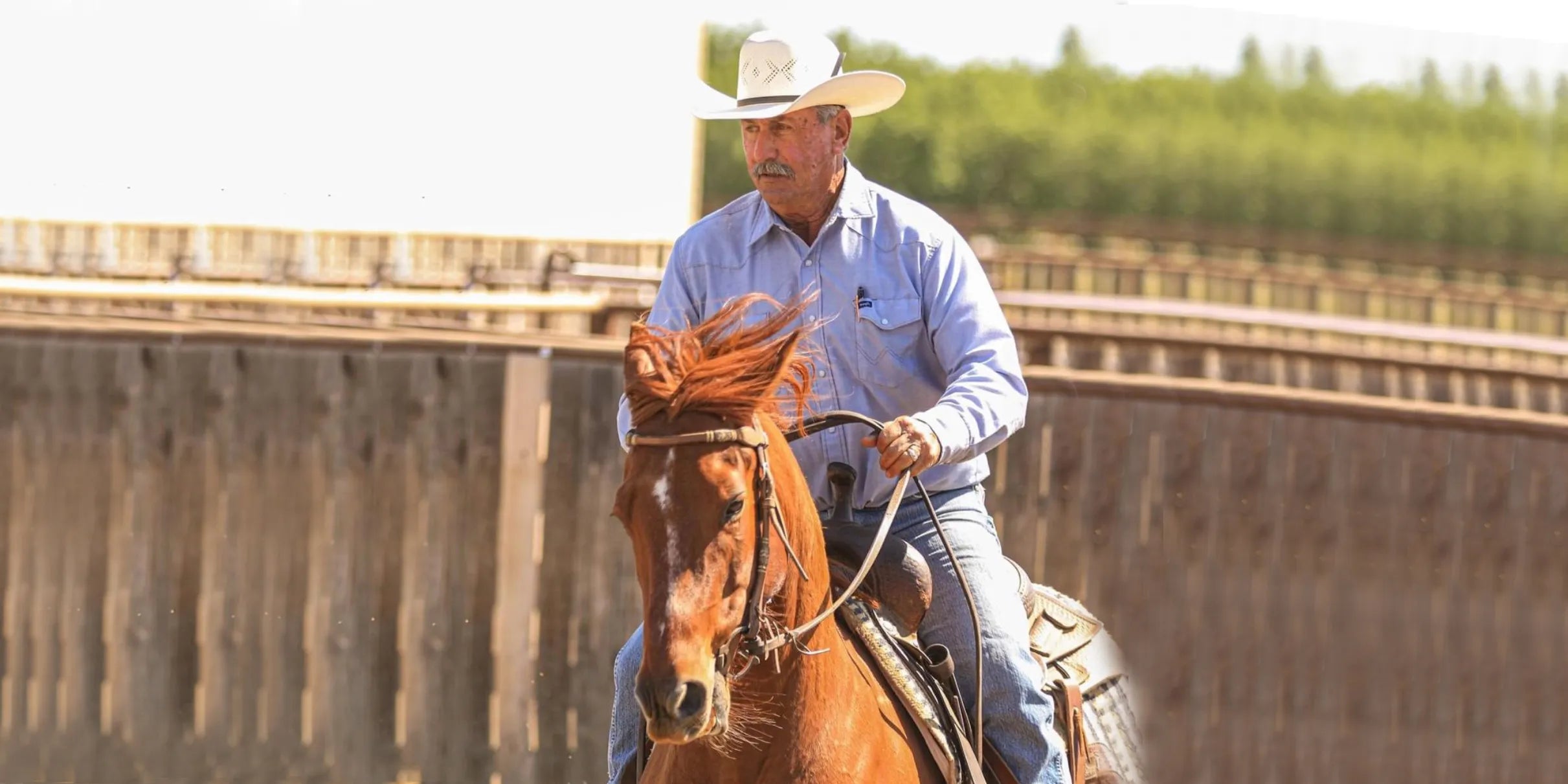 Reference photo of an older cowboy with a mustache riding a brown horse in a ranch arena for a custom leather portrait.